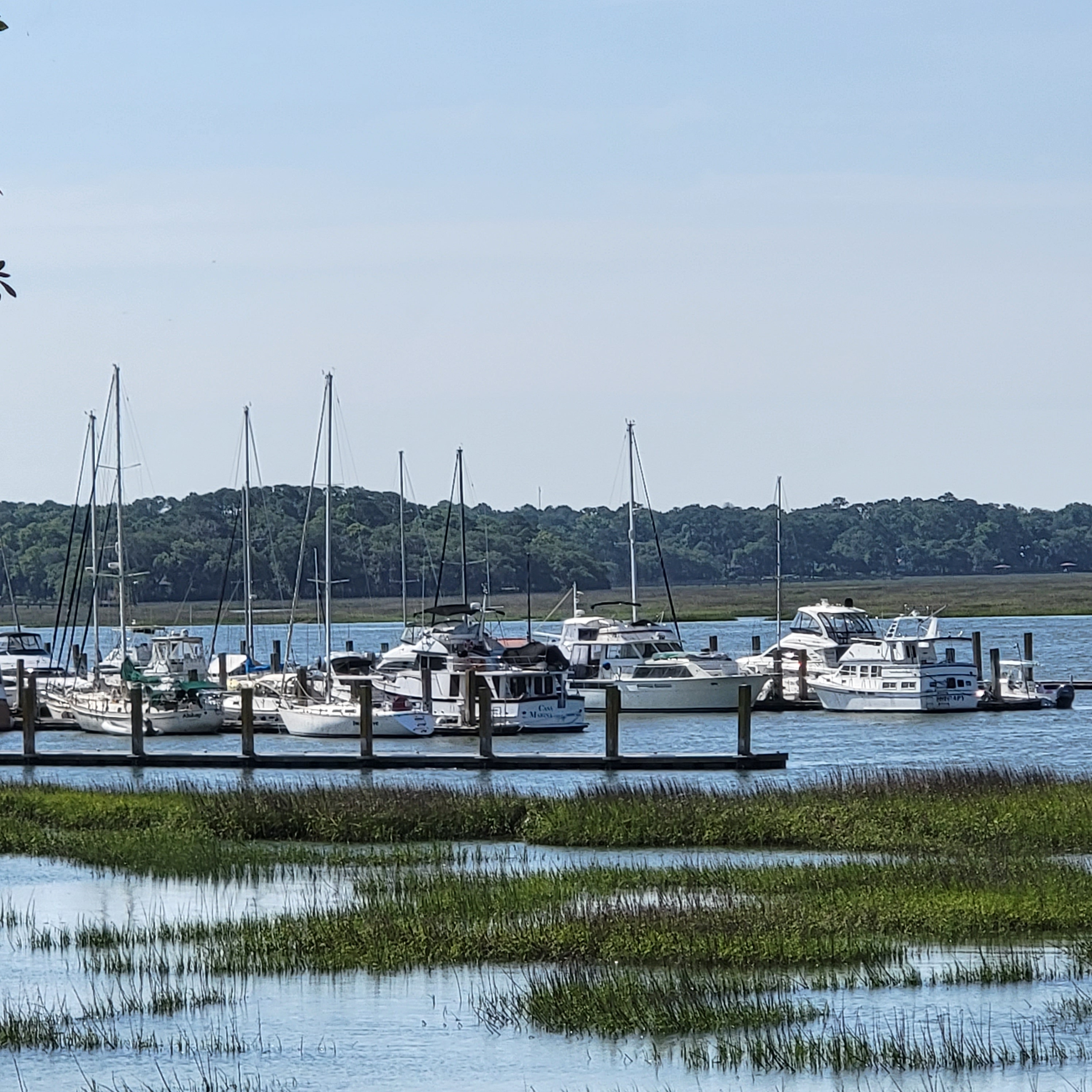 Tides of the coastal South Carolina lowlands