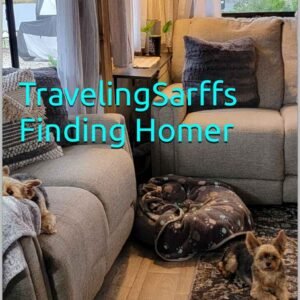 Traveling Sarffs - Finding Homer