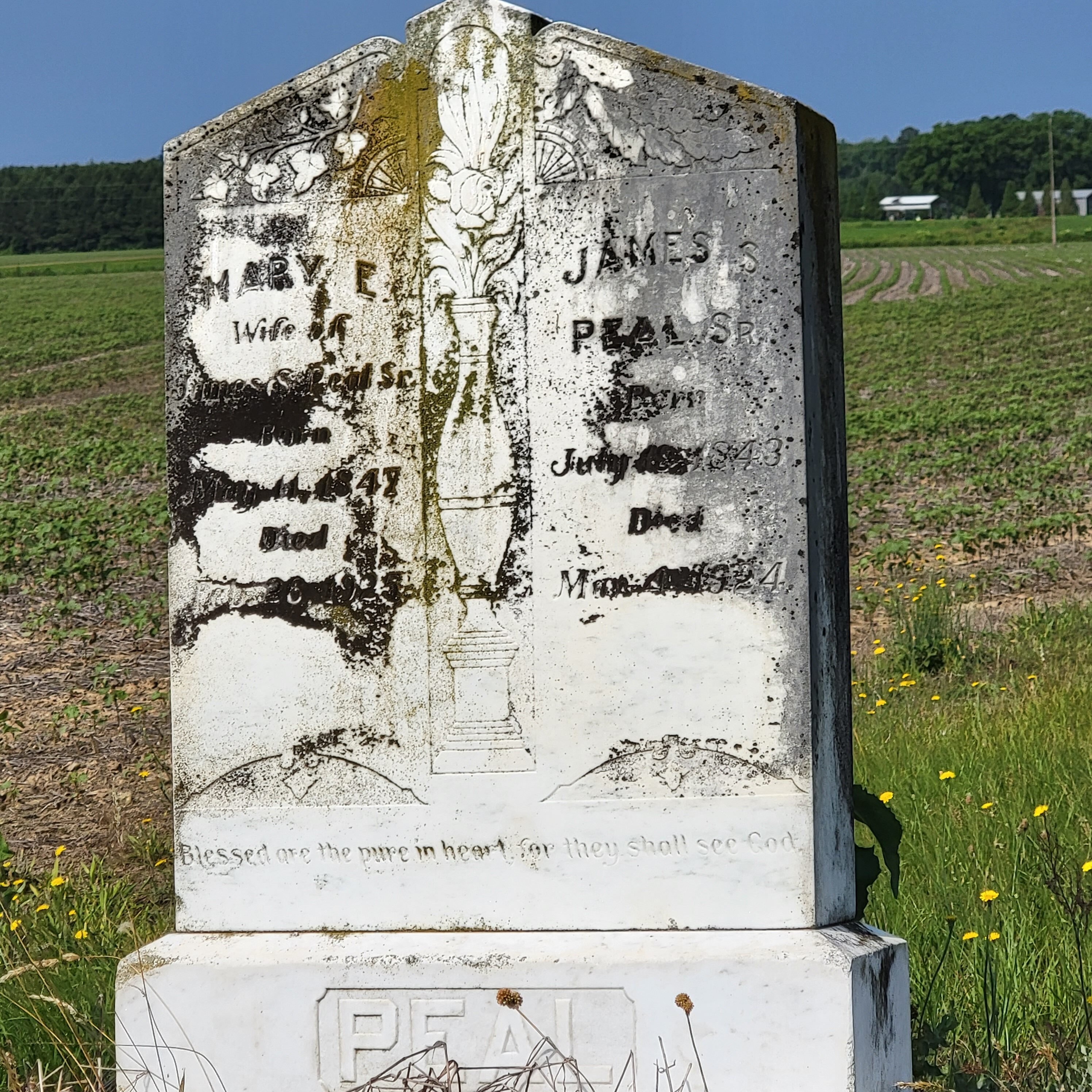 Family gravestones in North Carolina