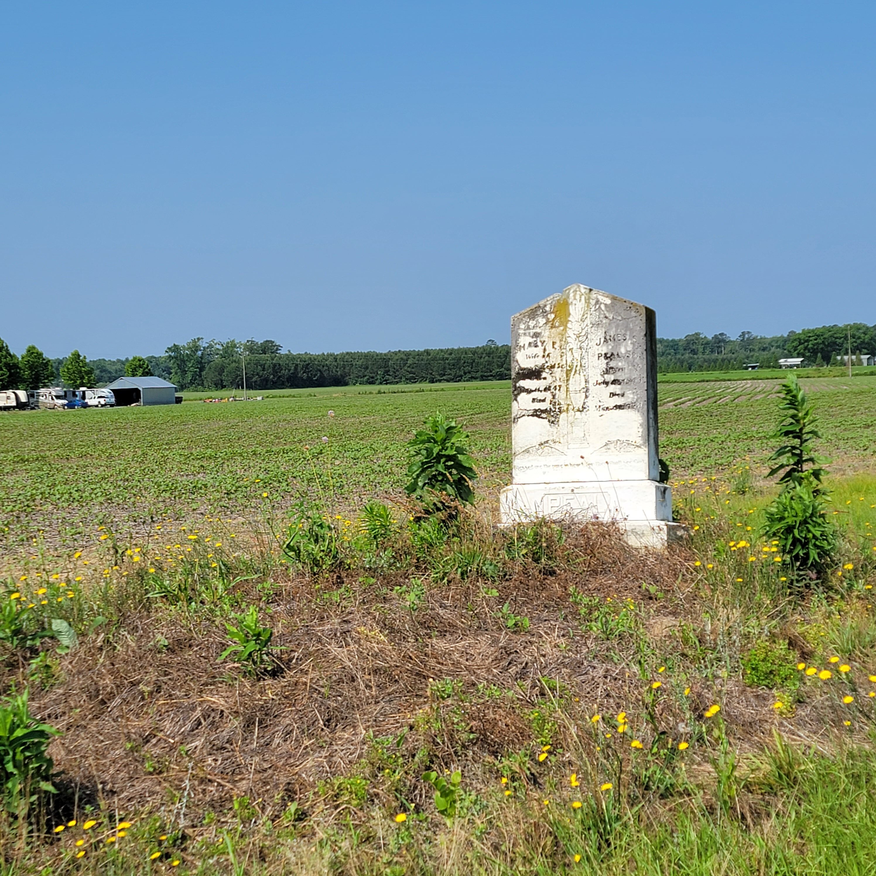 North Carolia gravestones in the middle of fields