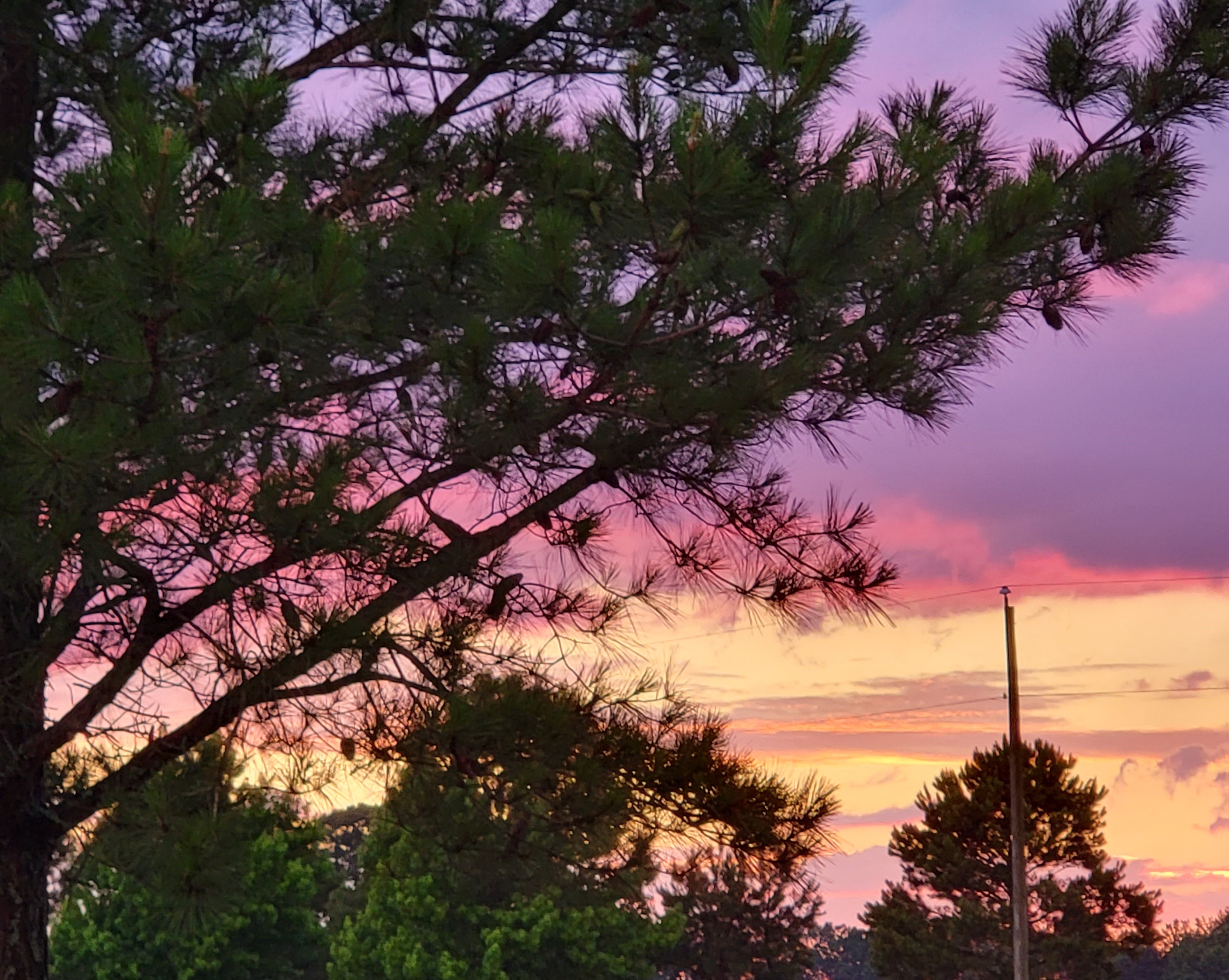 Nostalgic North Carolina blog post by travelingsarffs