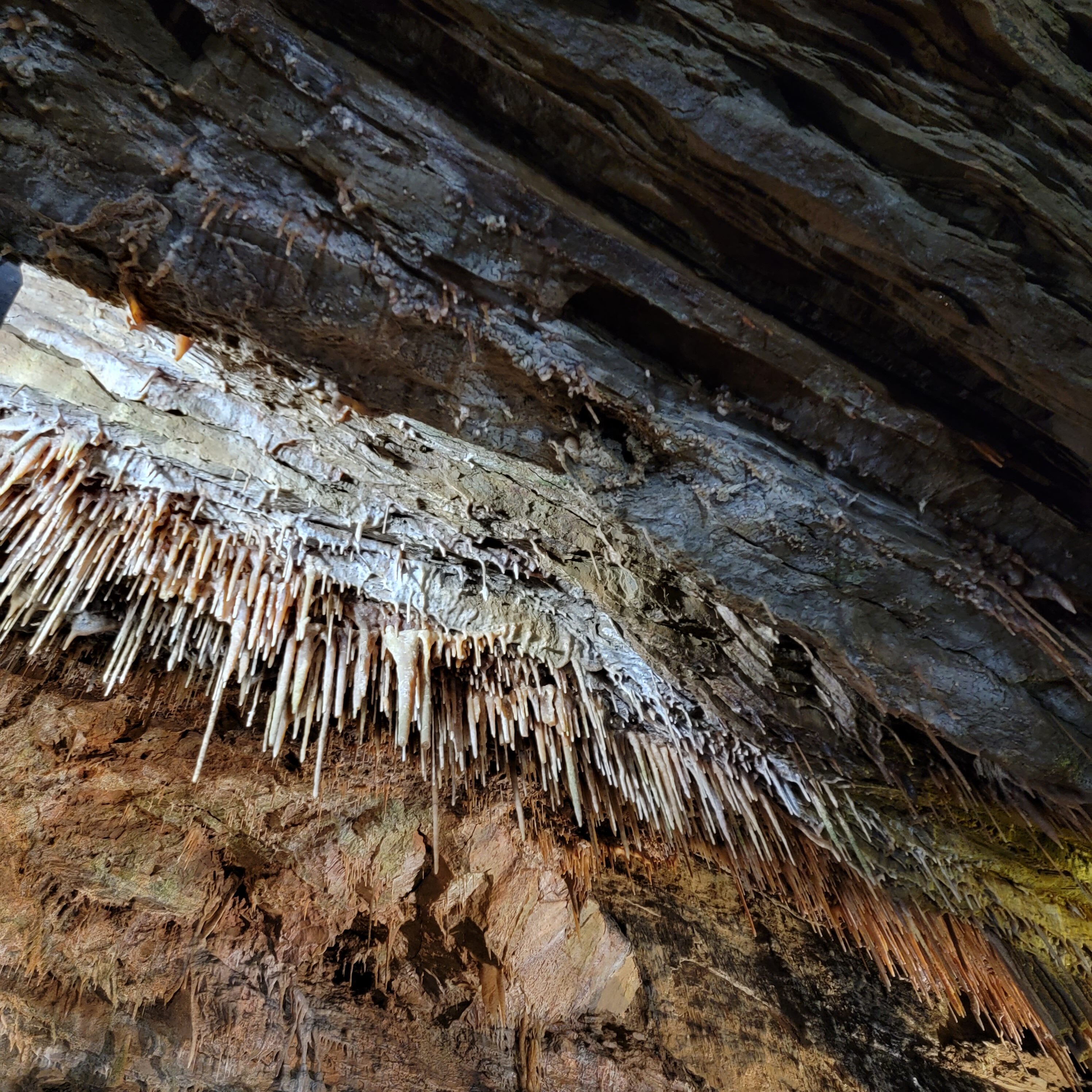 Crazy stuff hanging from ceiling in smoke hole caverns