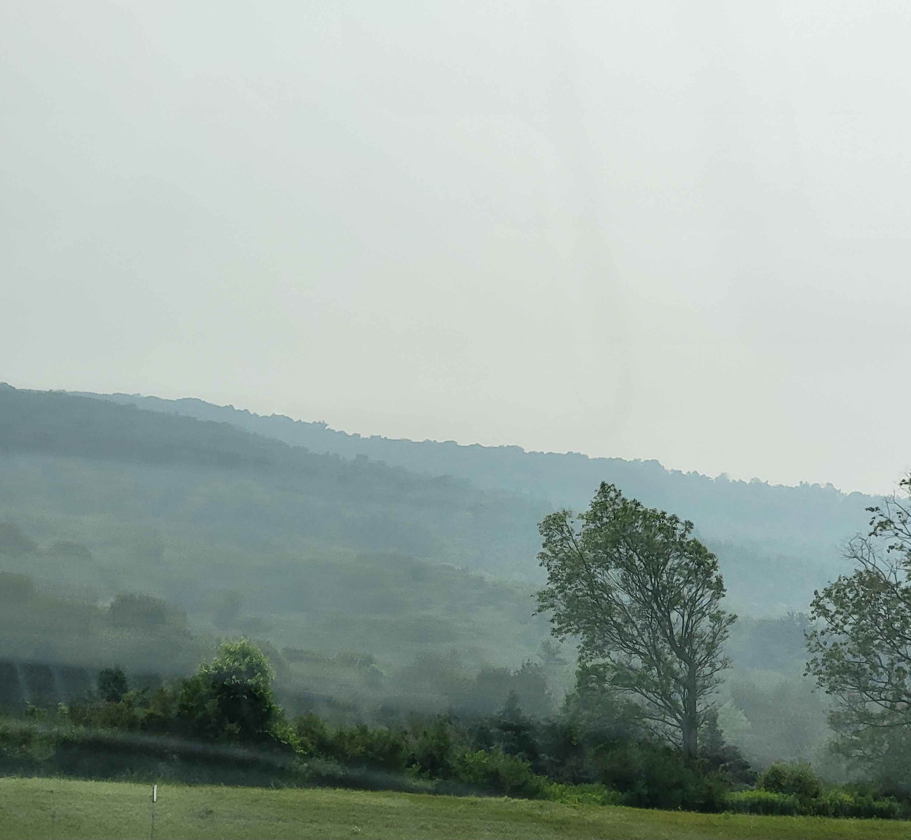 Wild fire smoke from canada in upstate New York