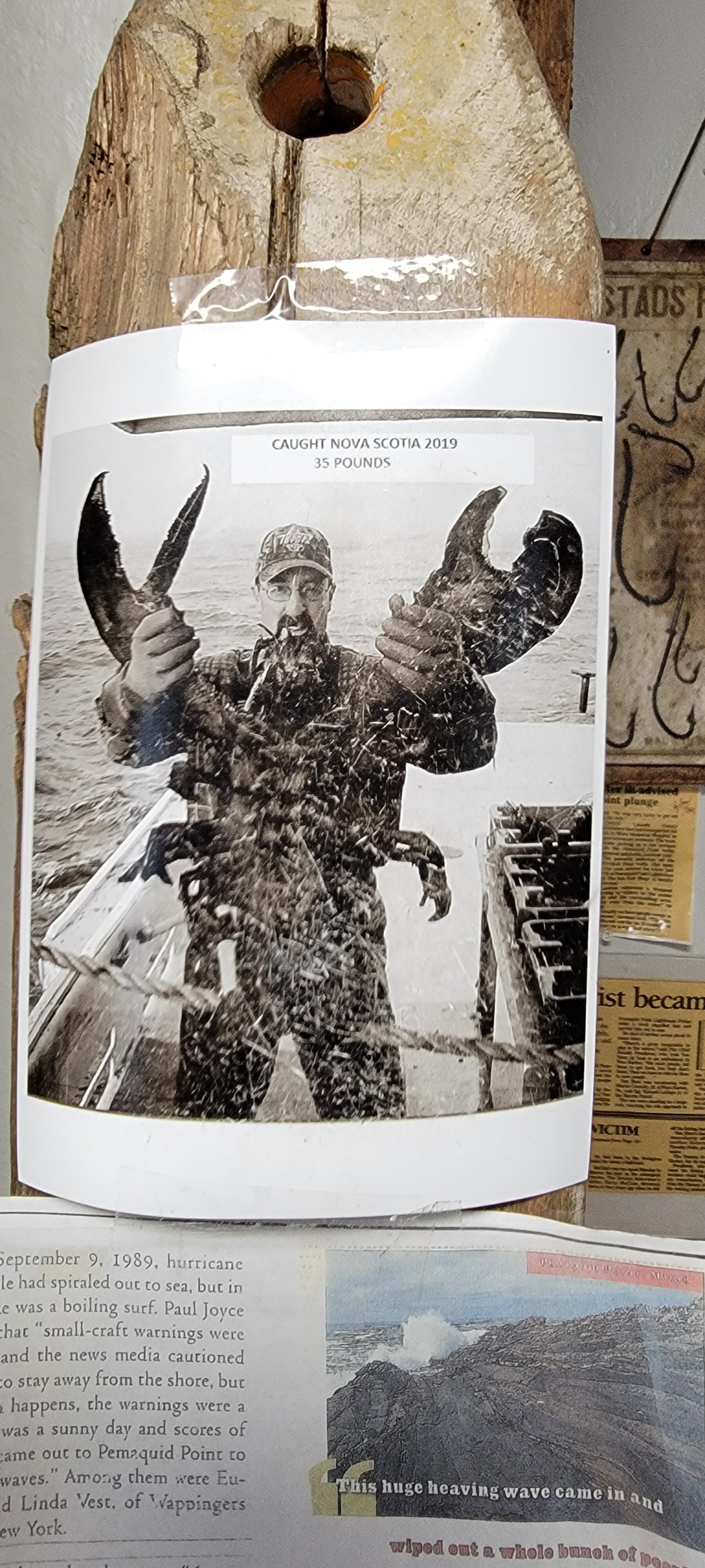 Away in Maine - largest lobster in museum