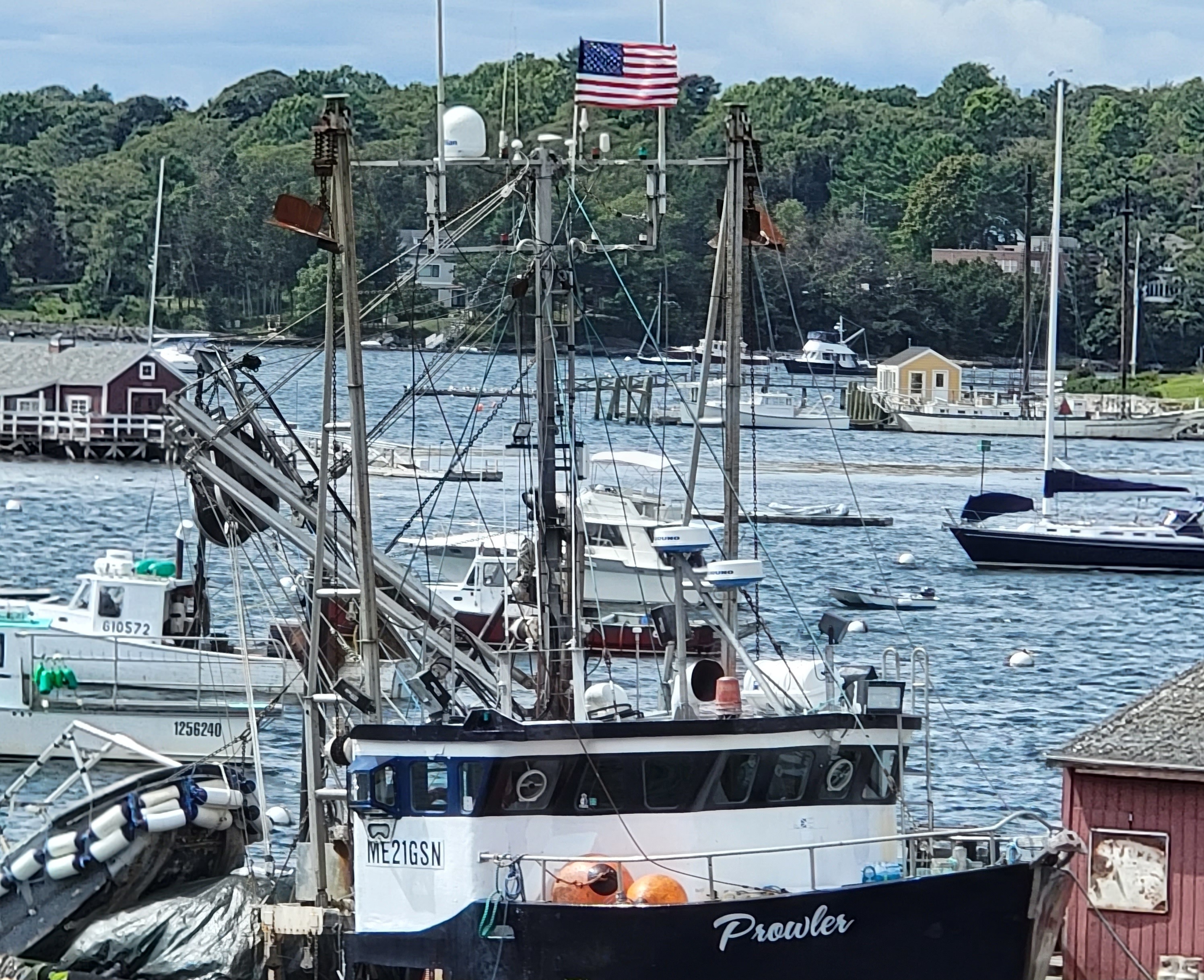 Harbor at Boothbay, Maine