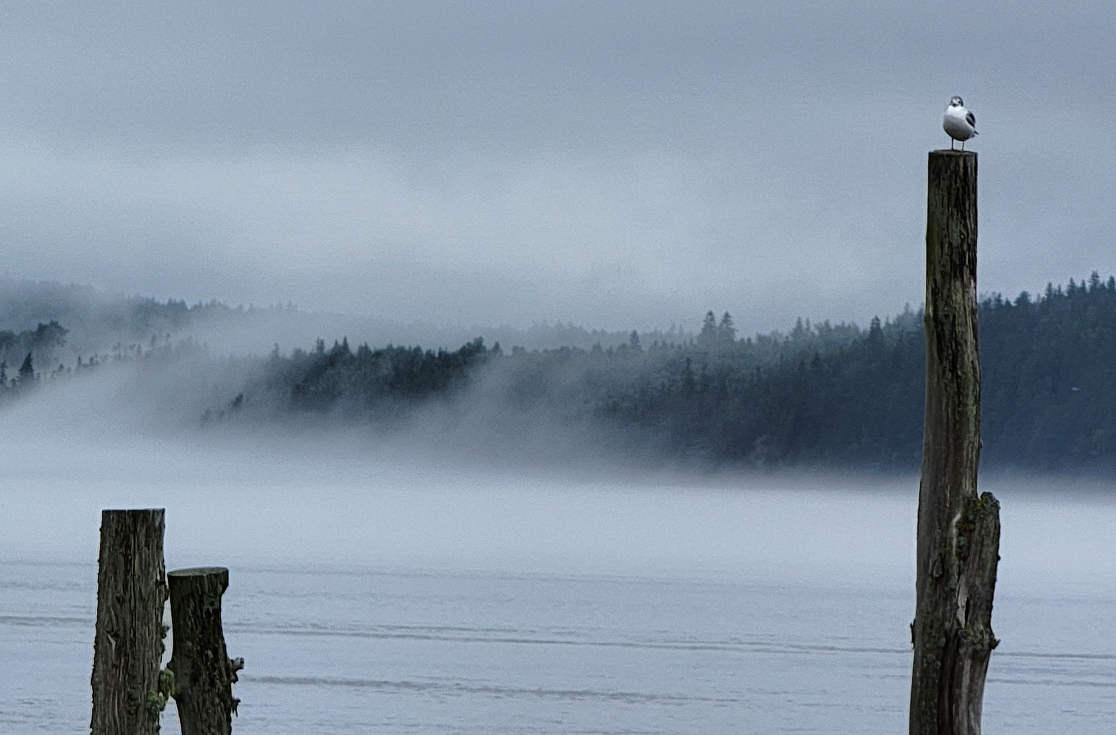 View of the shoreline in Maine