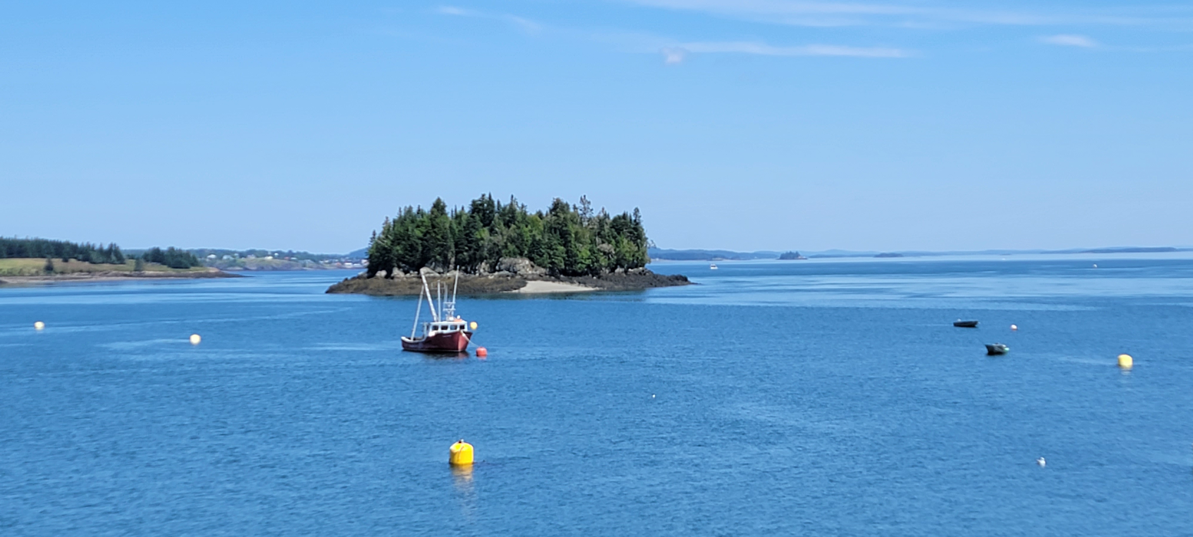 The View from the water in Maine