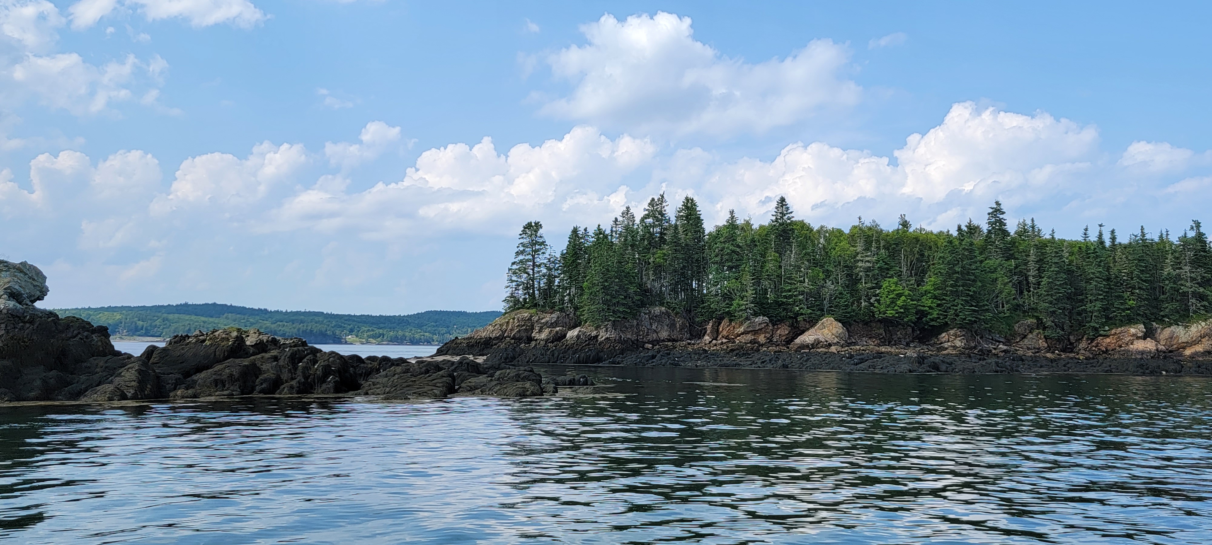 Out on the water and whale watching in Maine