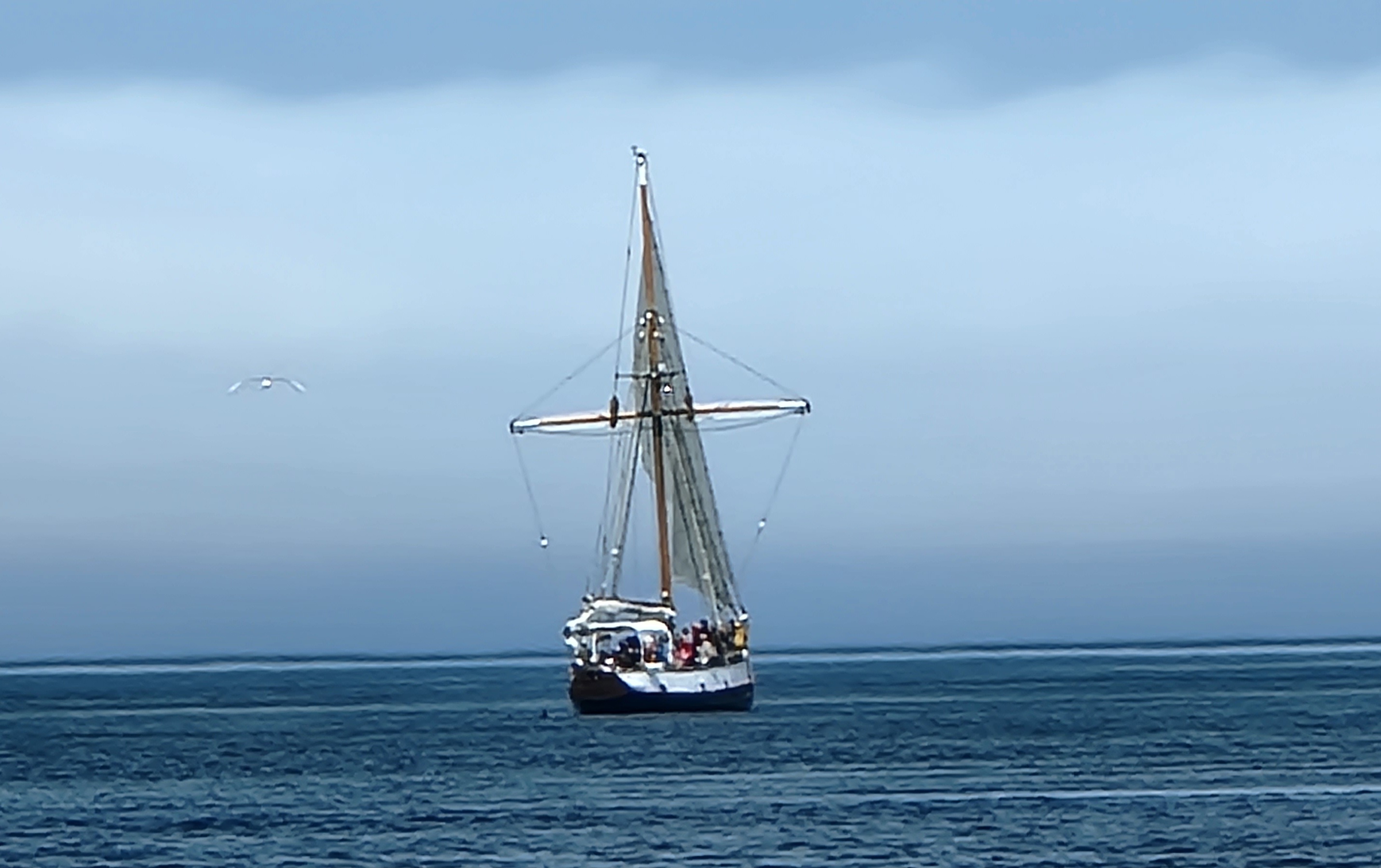 One of the many ships out whale watching in Maine