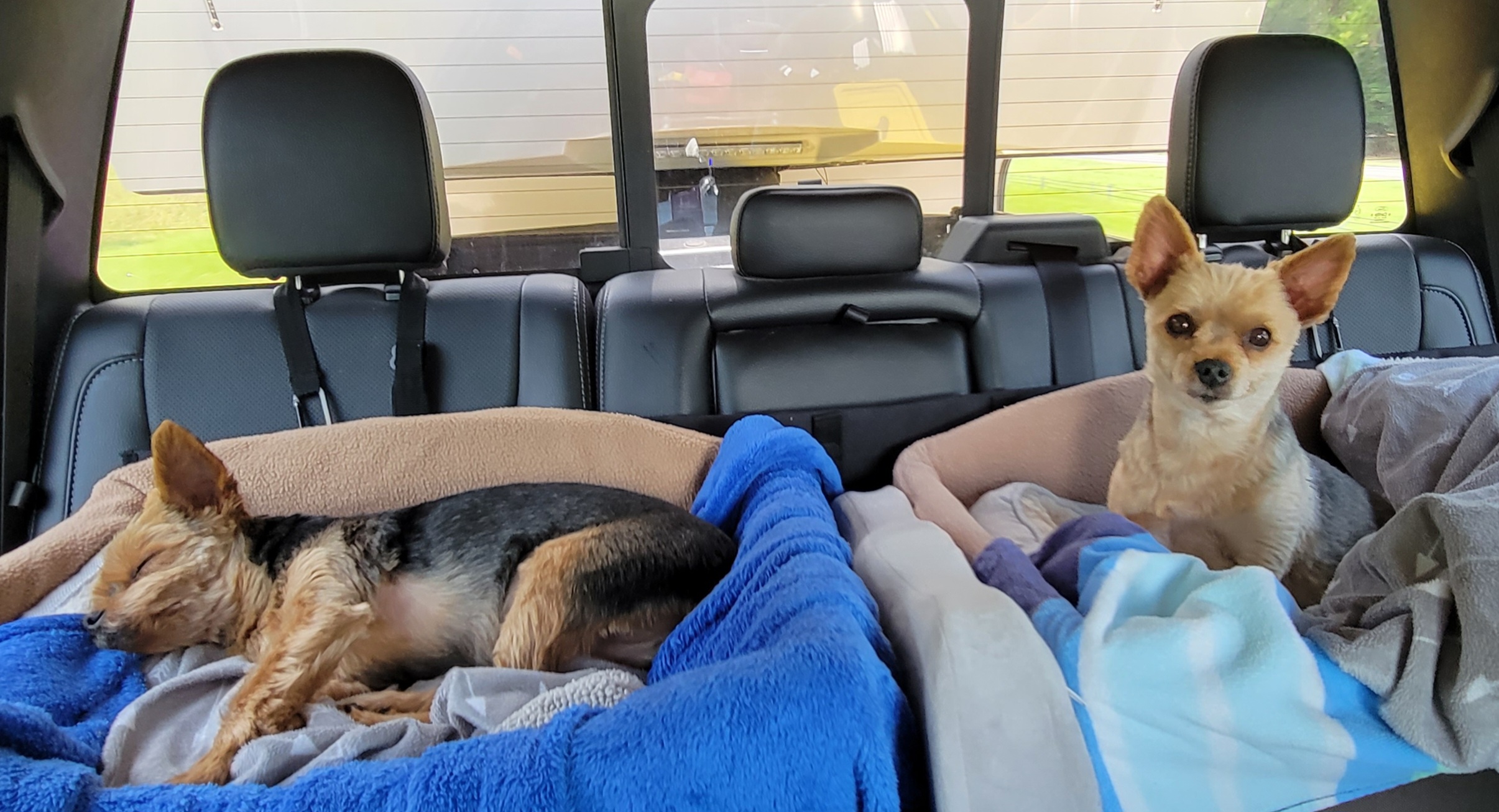 Traveling Sarffs blog post of living on the road