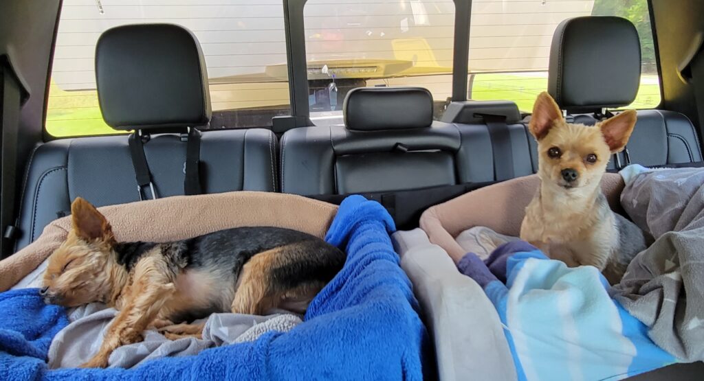 Back to where we started blog post