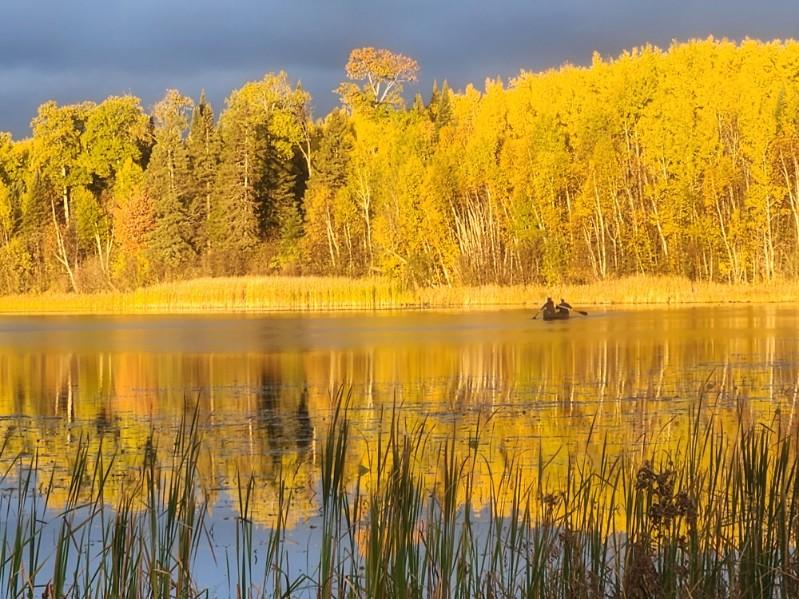 A Beautiful Minnesota fall traveling sarffs blog post cover