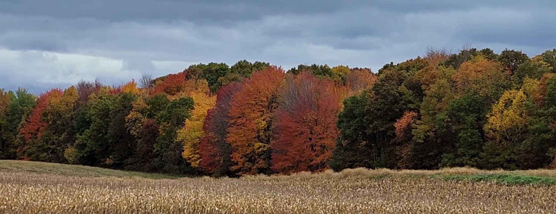 The many colors of a Minnesota fall