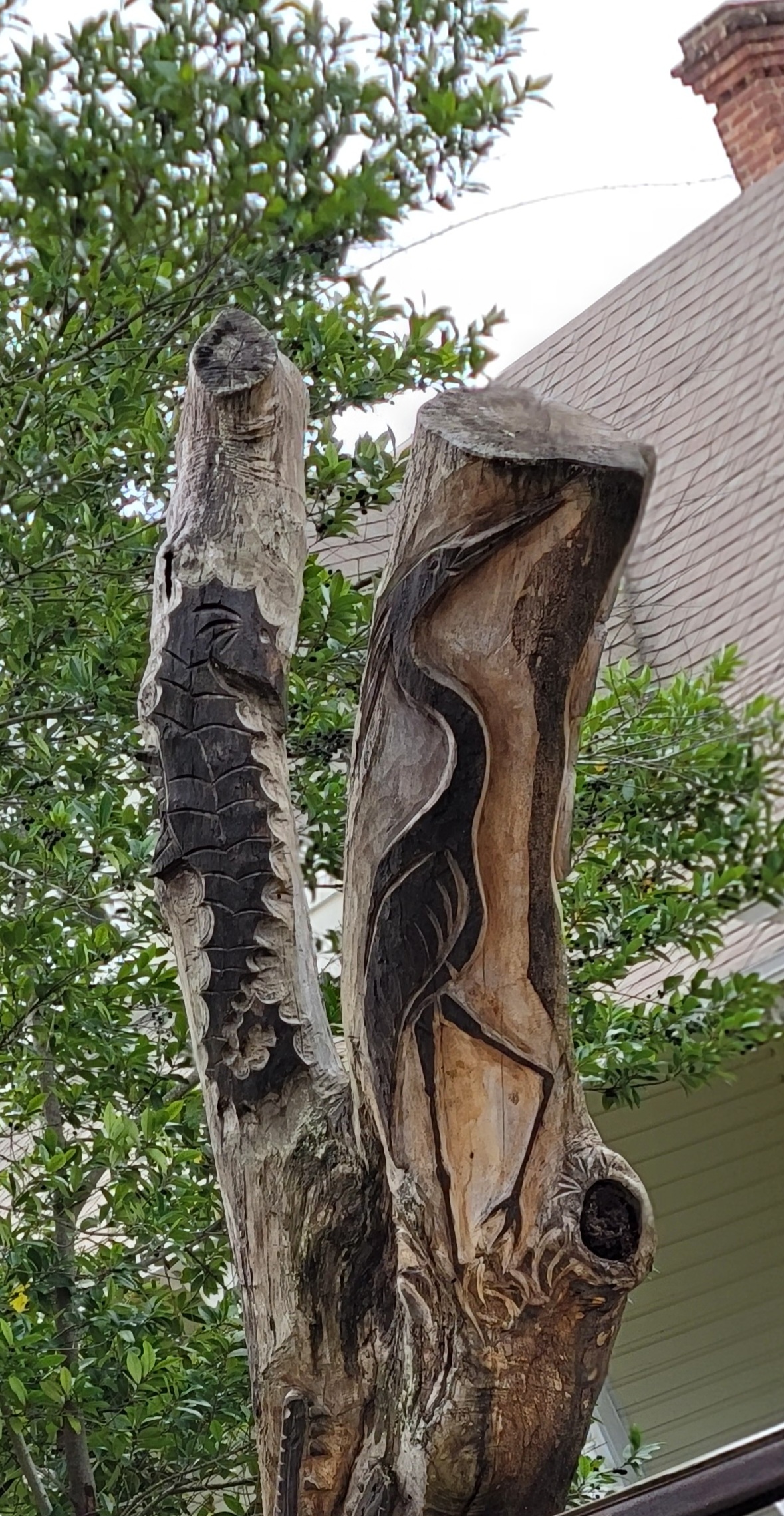 Cedar Key Florida carvings in dead oak trees