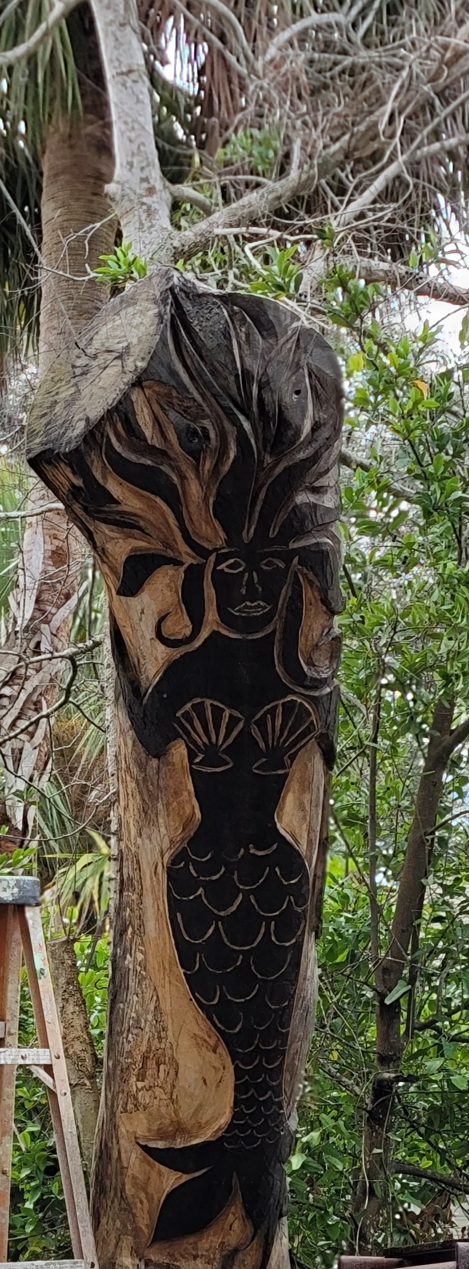 Cedar Key Florida carvings in tree along main street