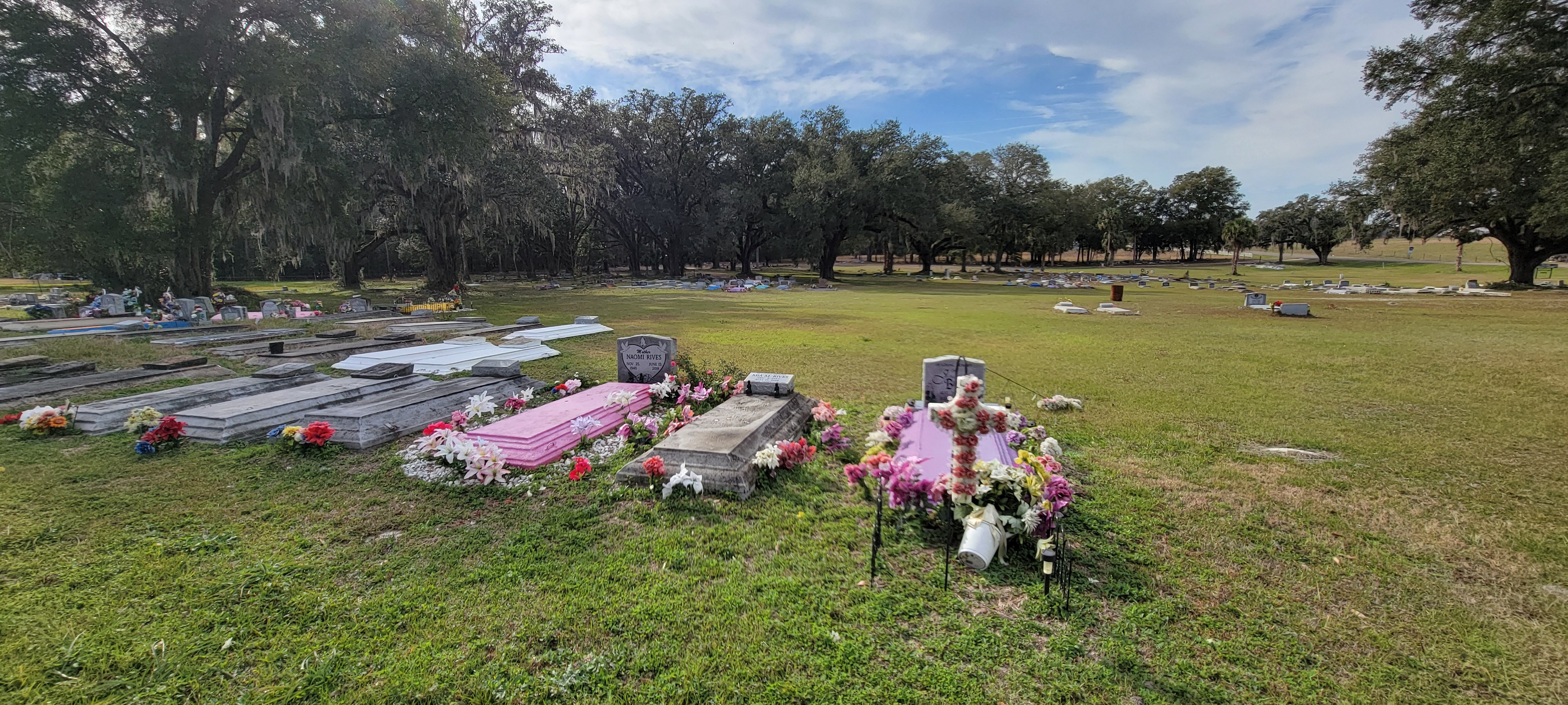 Interesting cemetery setup in middle florida - colored vaults