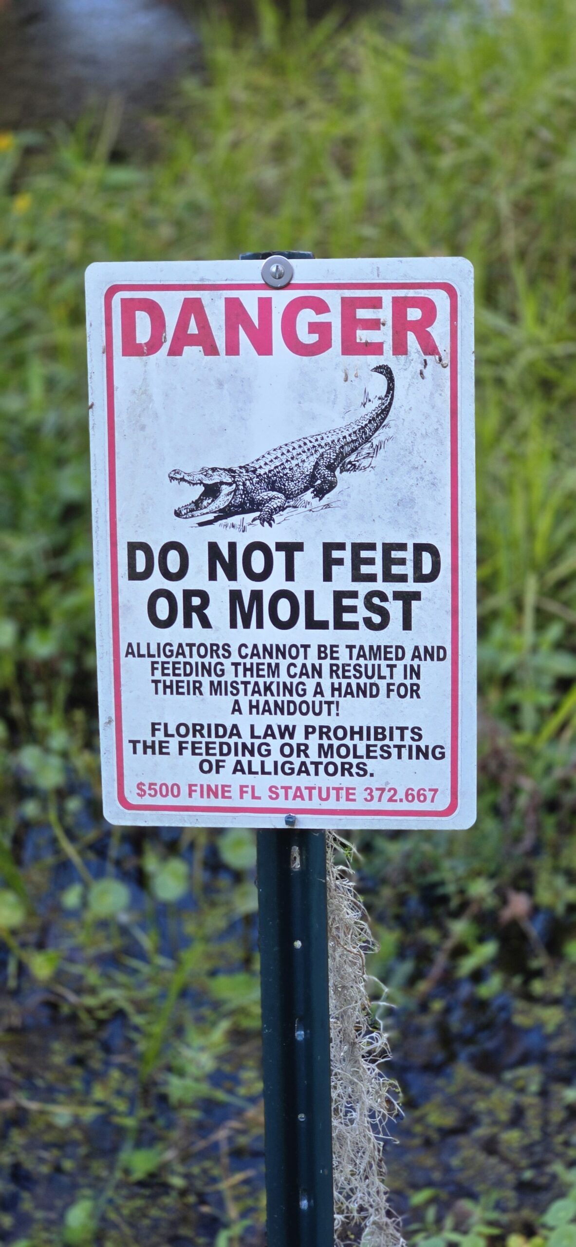 Florida do not molest the gators sign