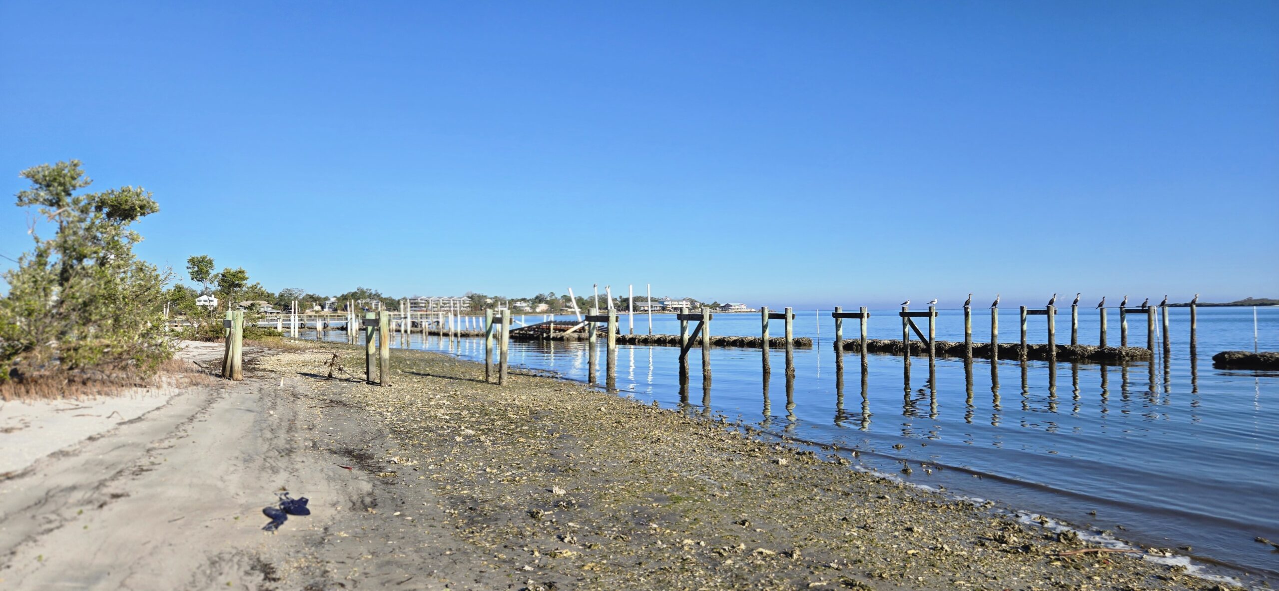  A look back blog post