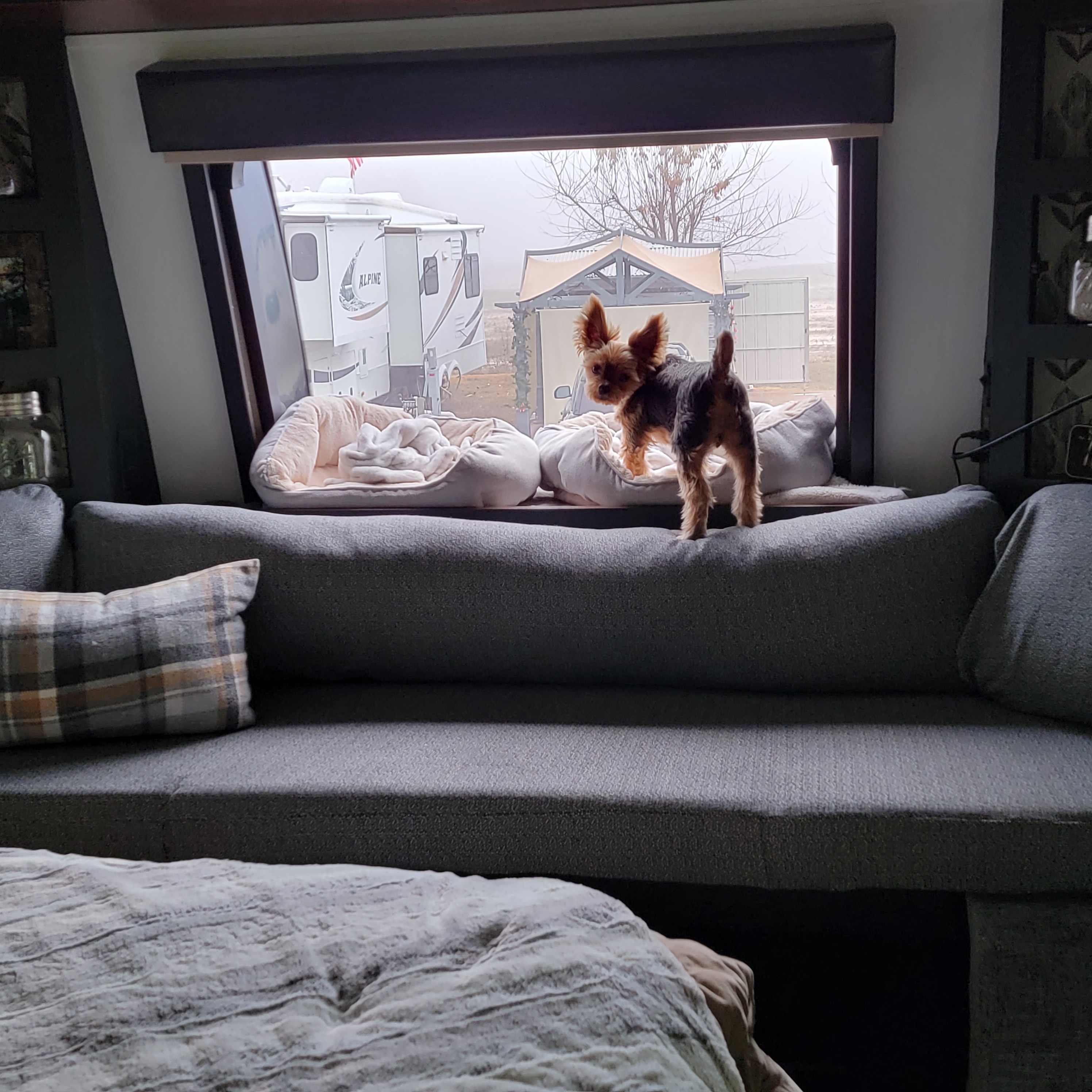 Homer bench seat before mini mods