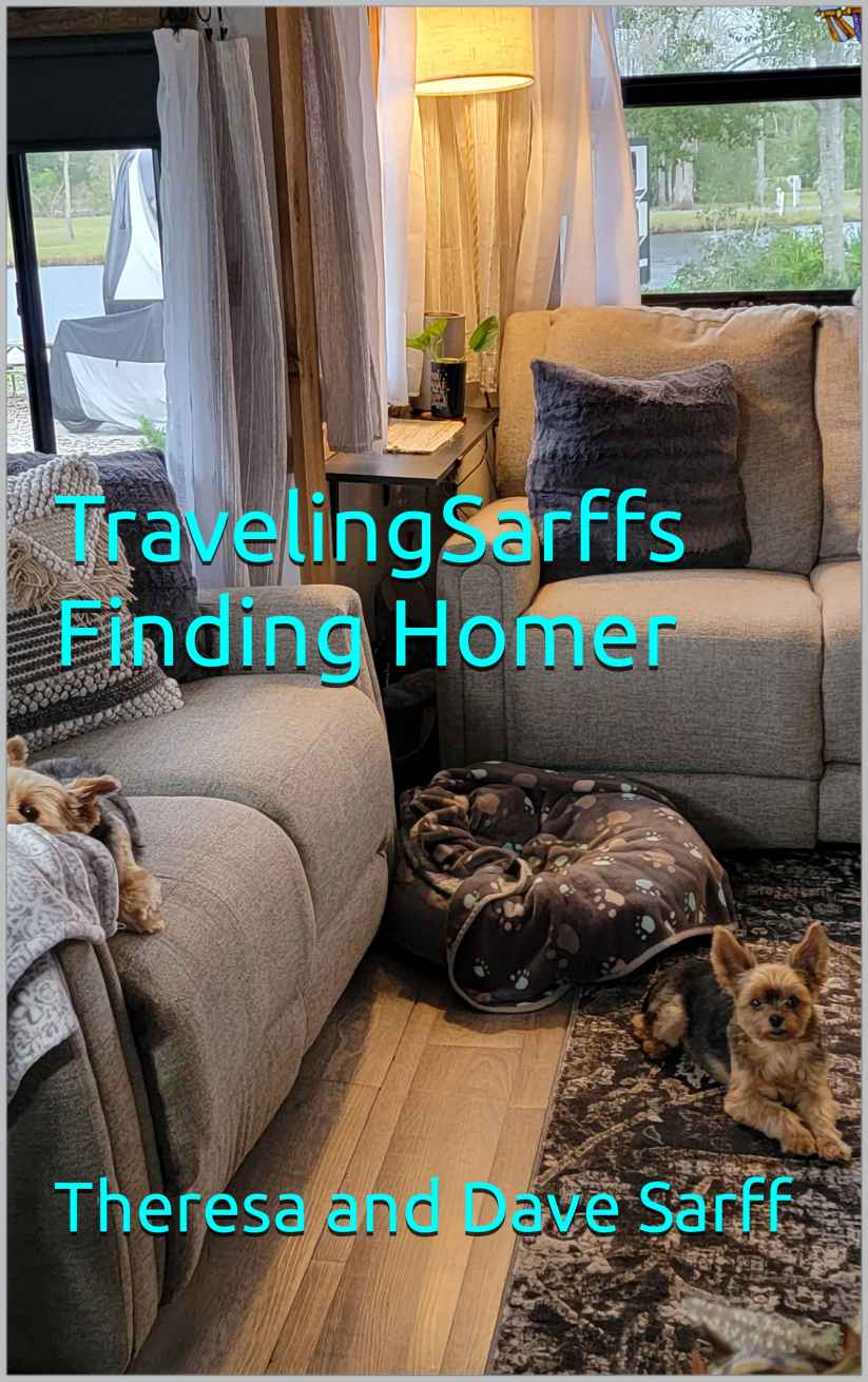 Traveling Sarff's Finding Homer cover photo
