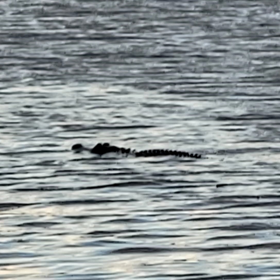 Lake Okeechobee - The Big "O" blog post