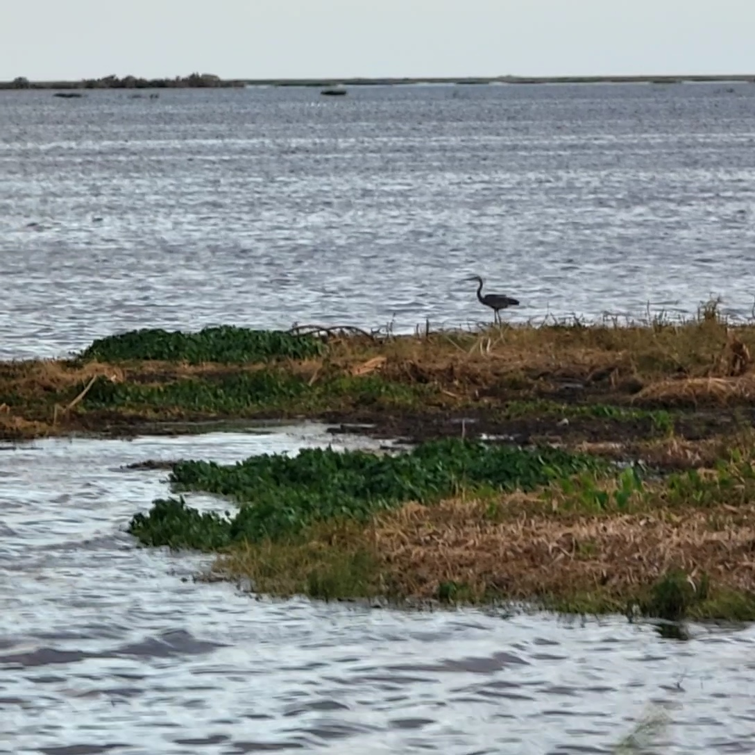 Lake Okeechobee - The Big "O" blog post