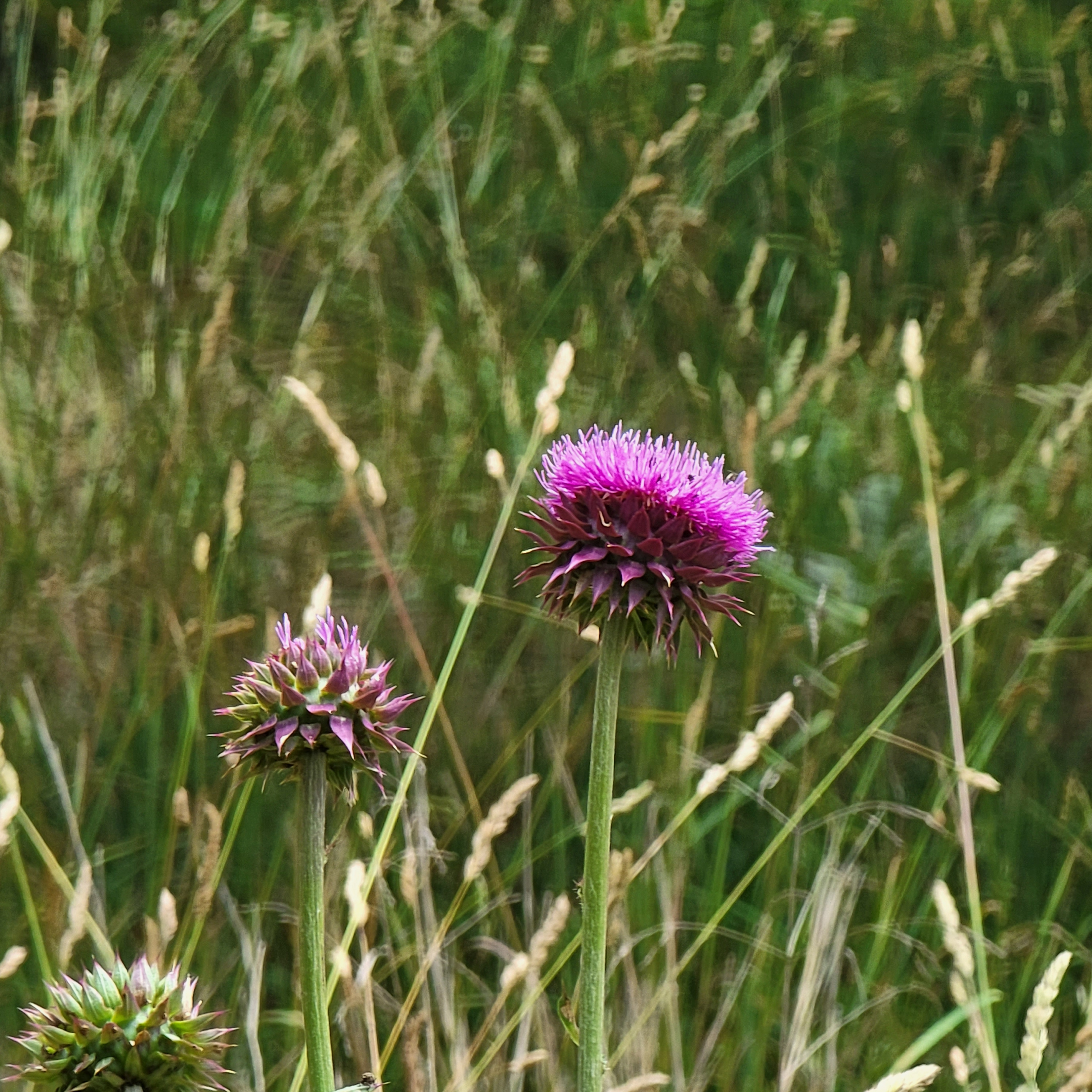 west virginia blog post