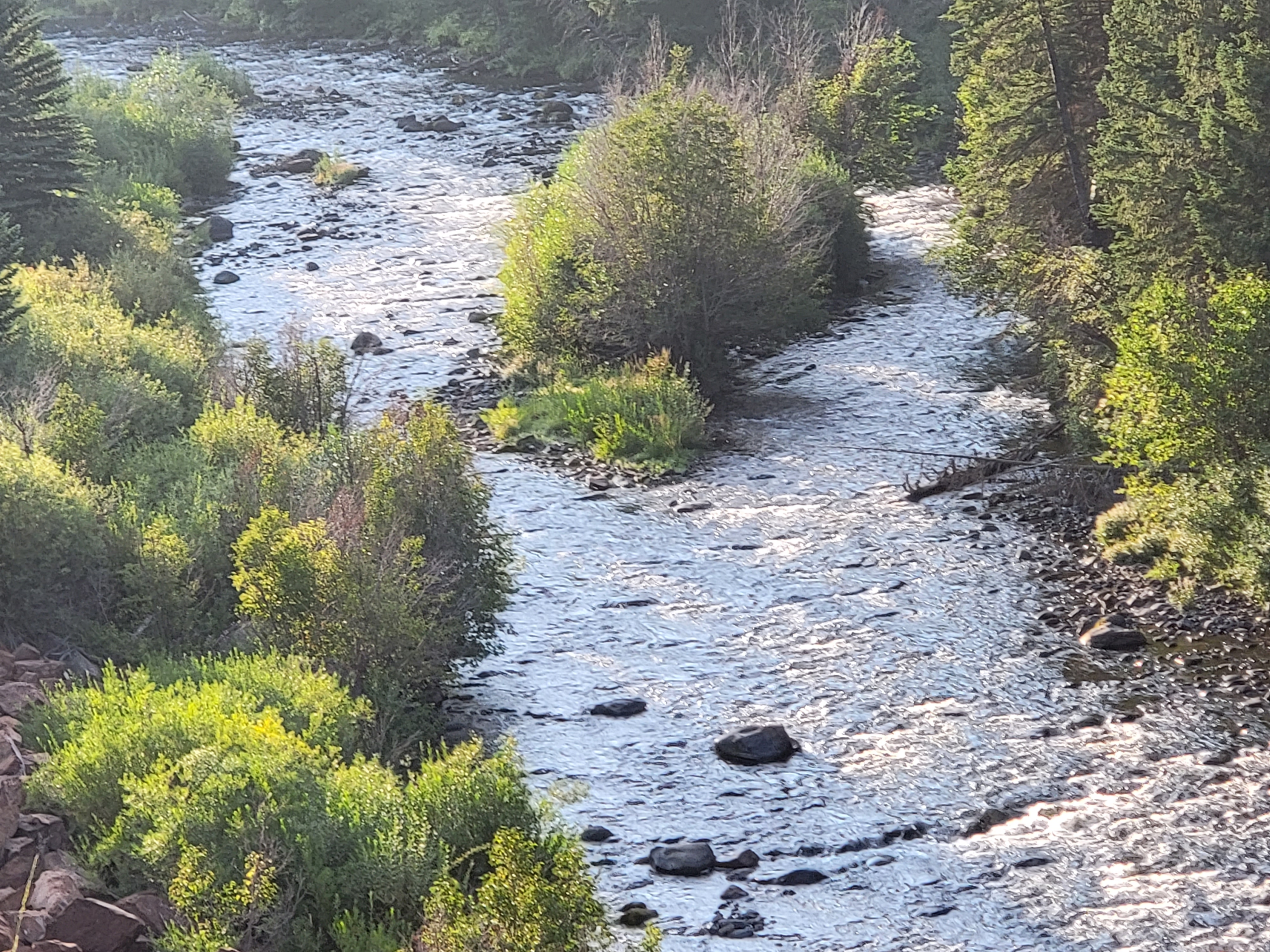 The white waters of Colorado while traveling with the Sarff's