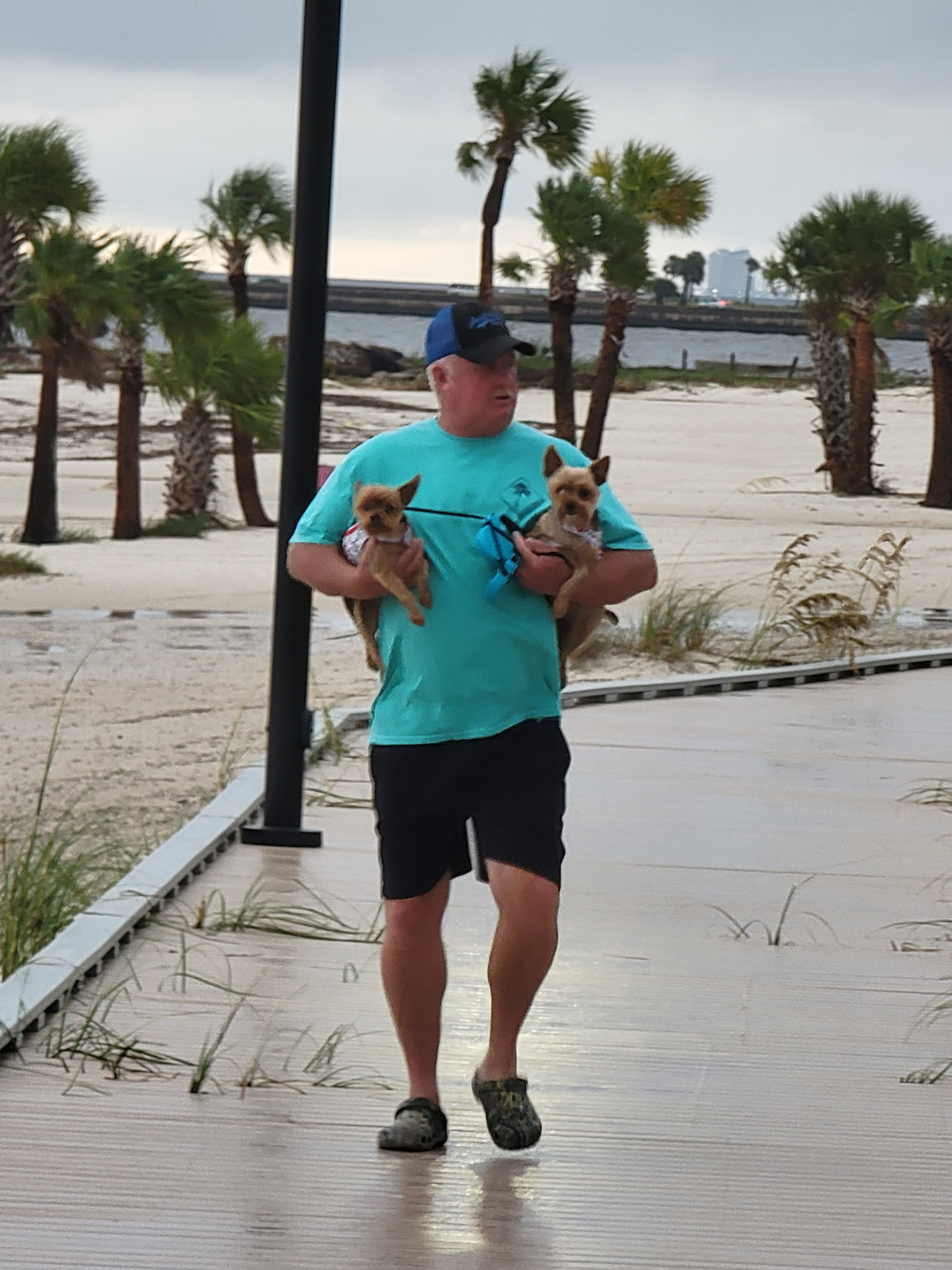 The secret coast blog post