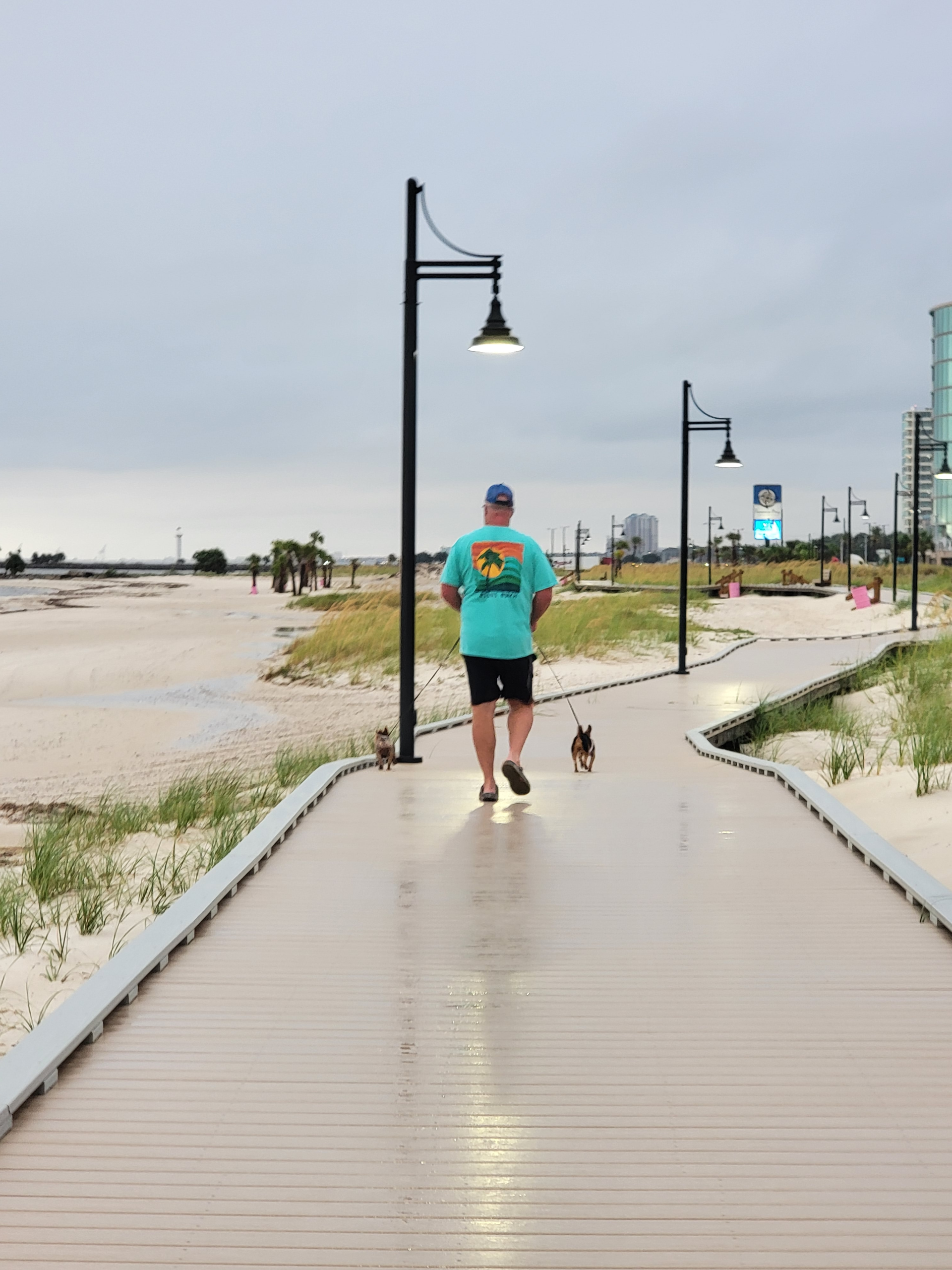 The secret coast blog post