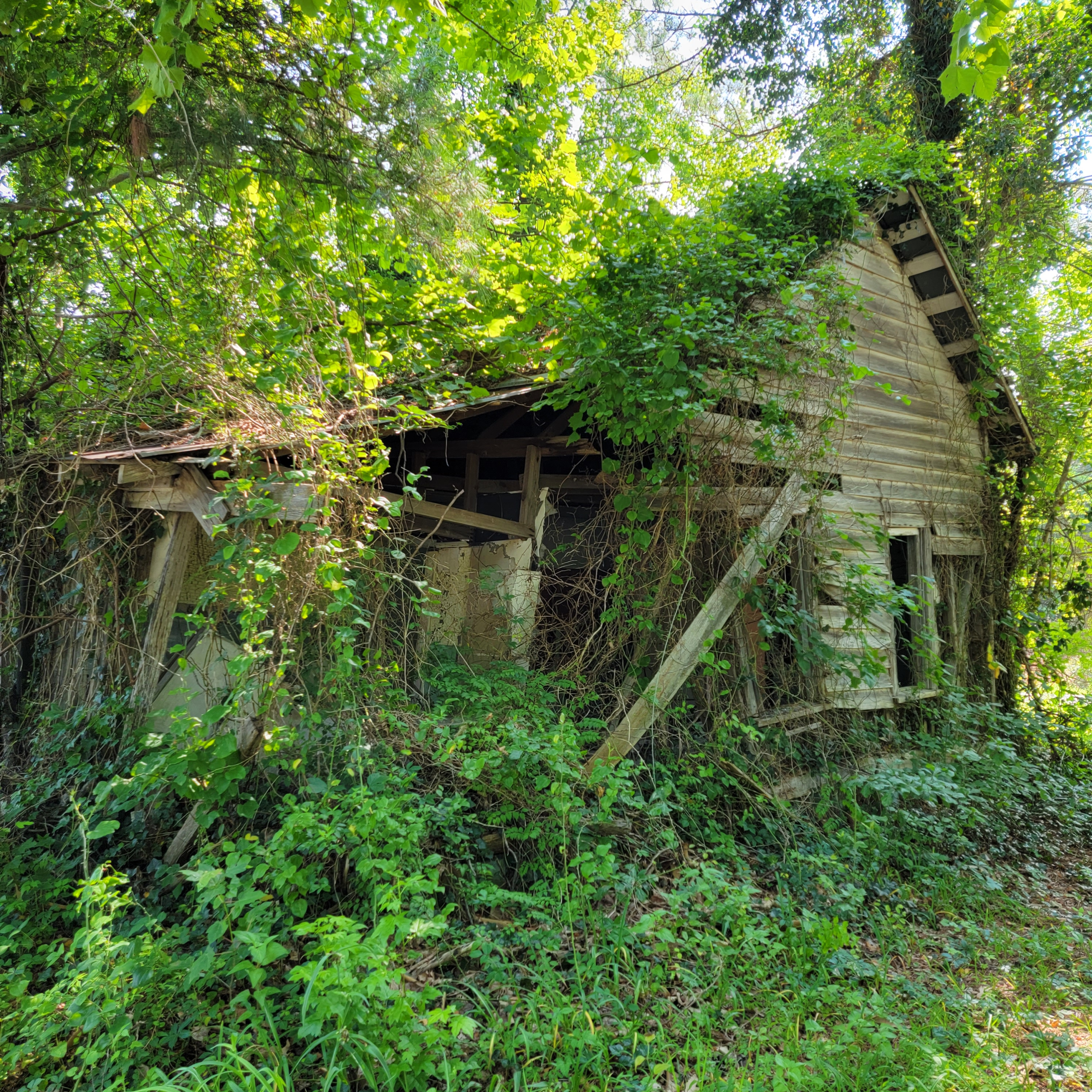 Nostalgic North Carolina blog post
