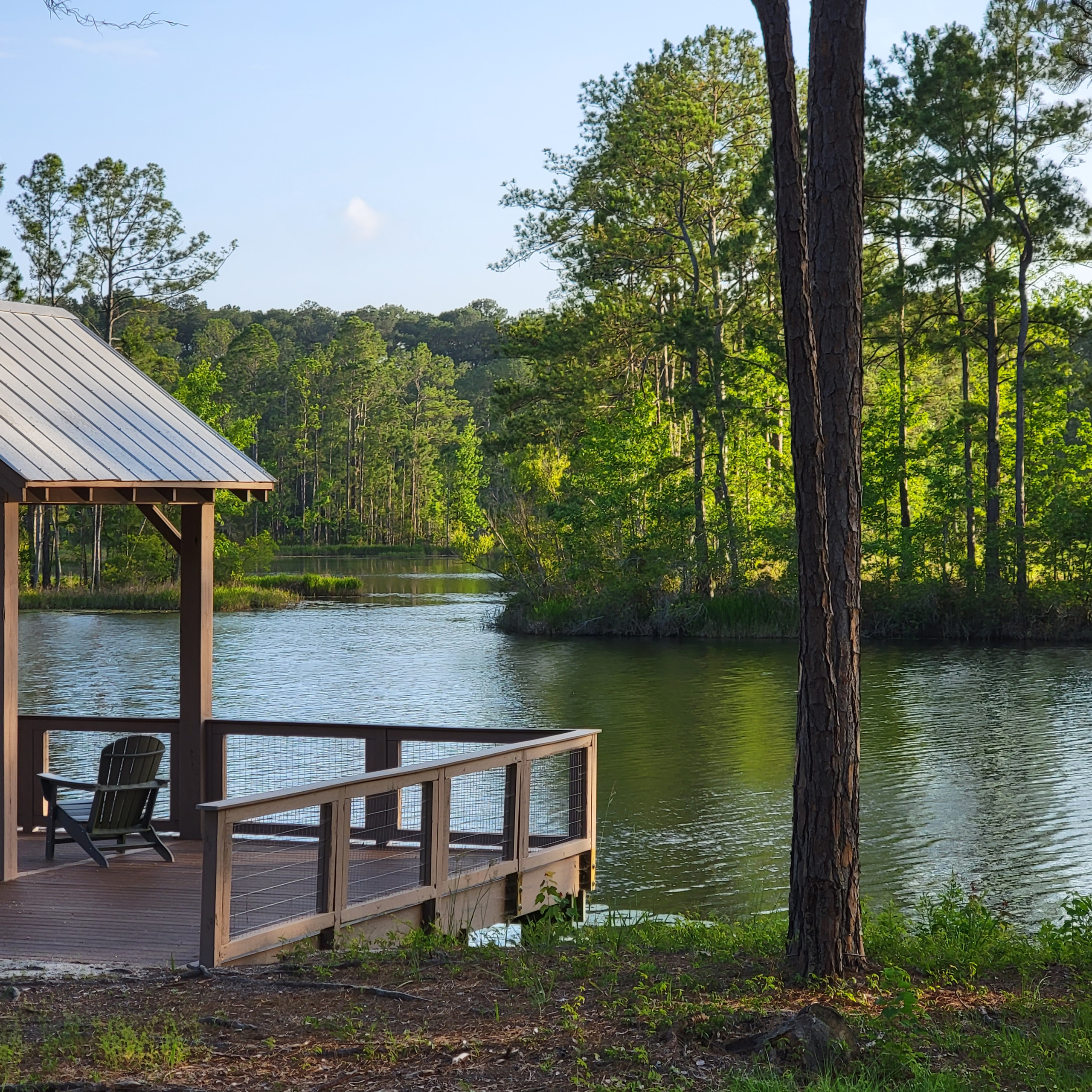 lush lowlands blog post