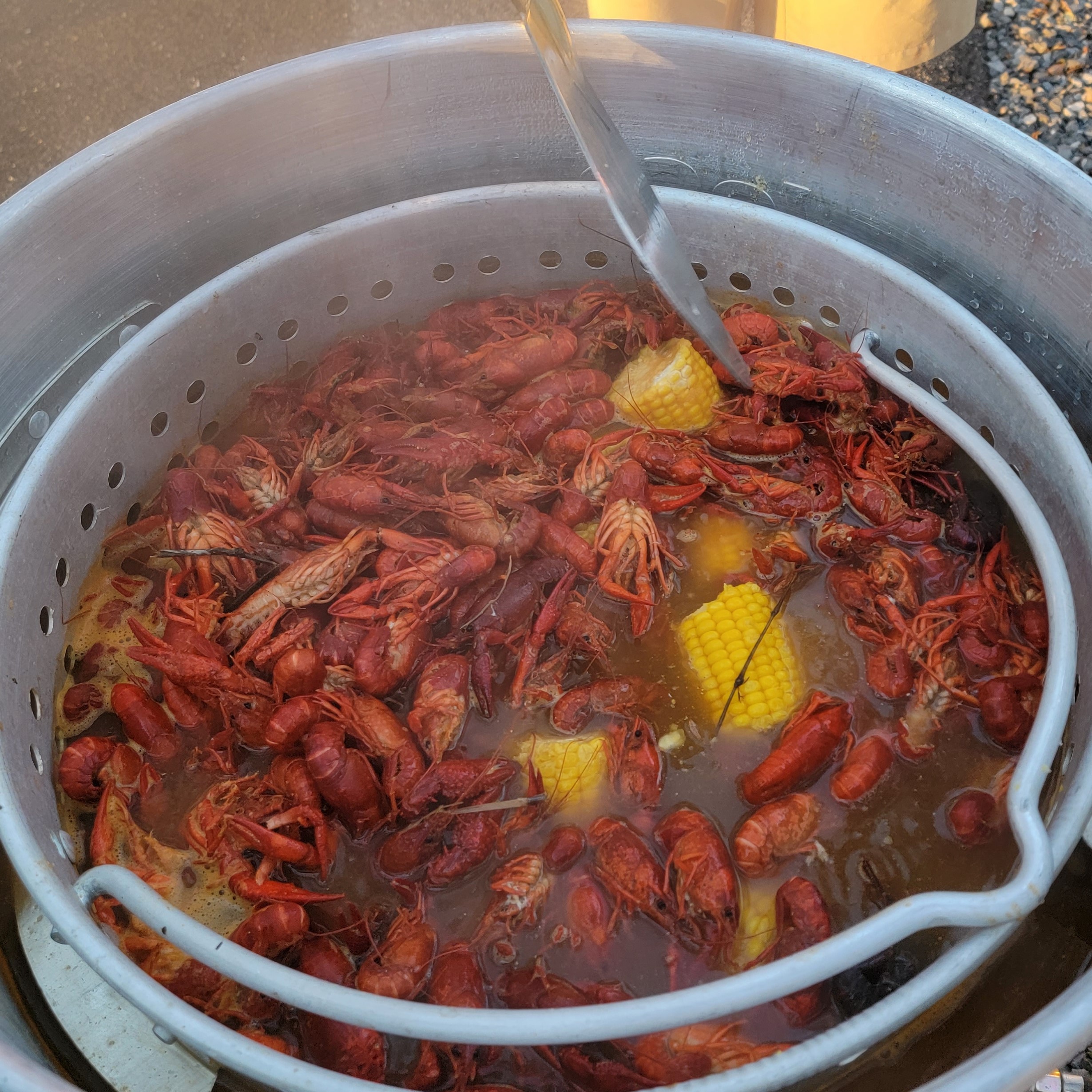 Mardi Gras in Mississippi blog post