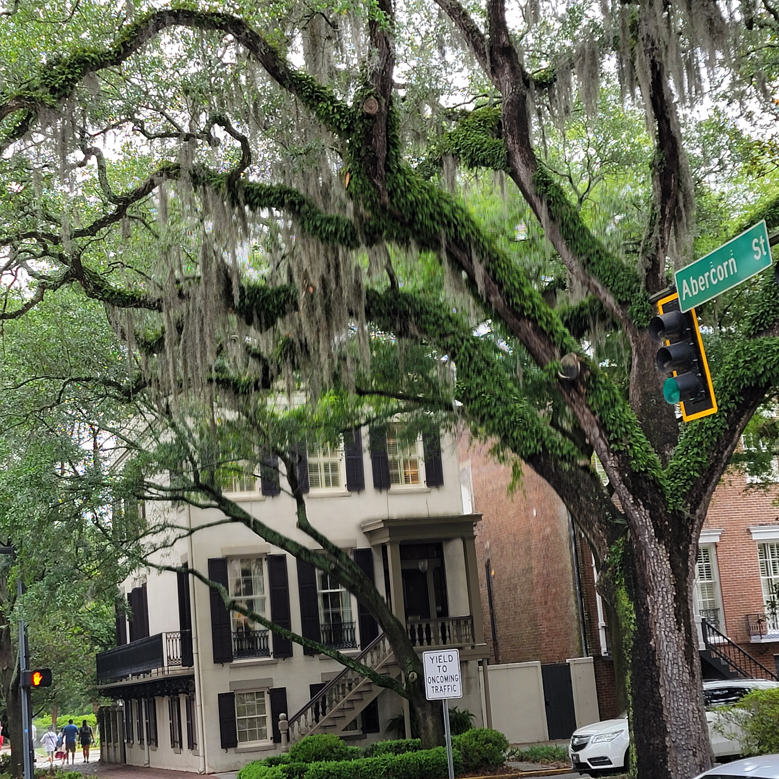 Savannah, Georgia - History and the Beach! blog post