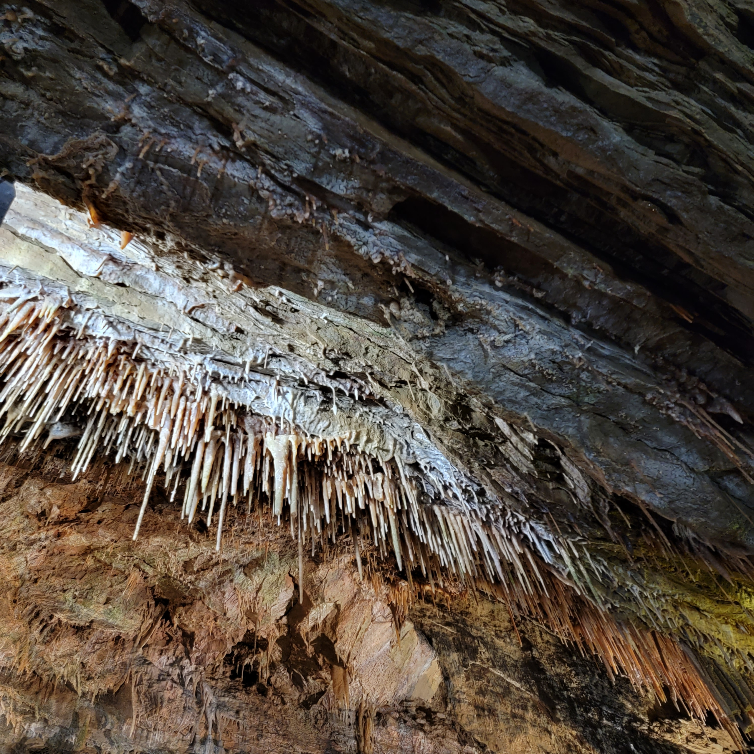 Wild West Virginia blog post