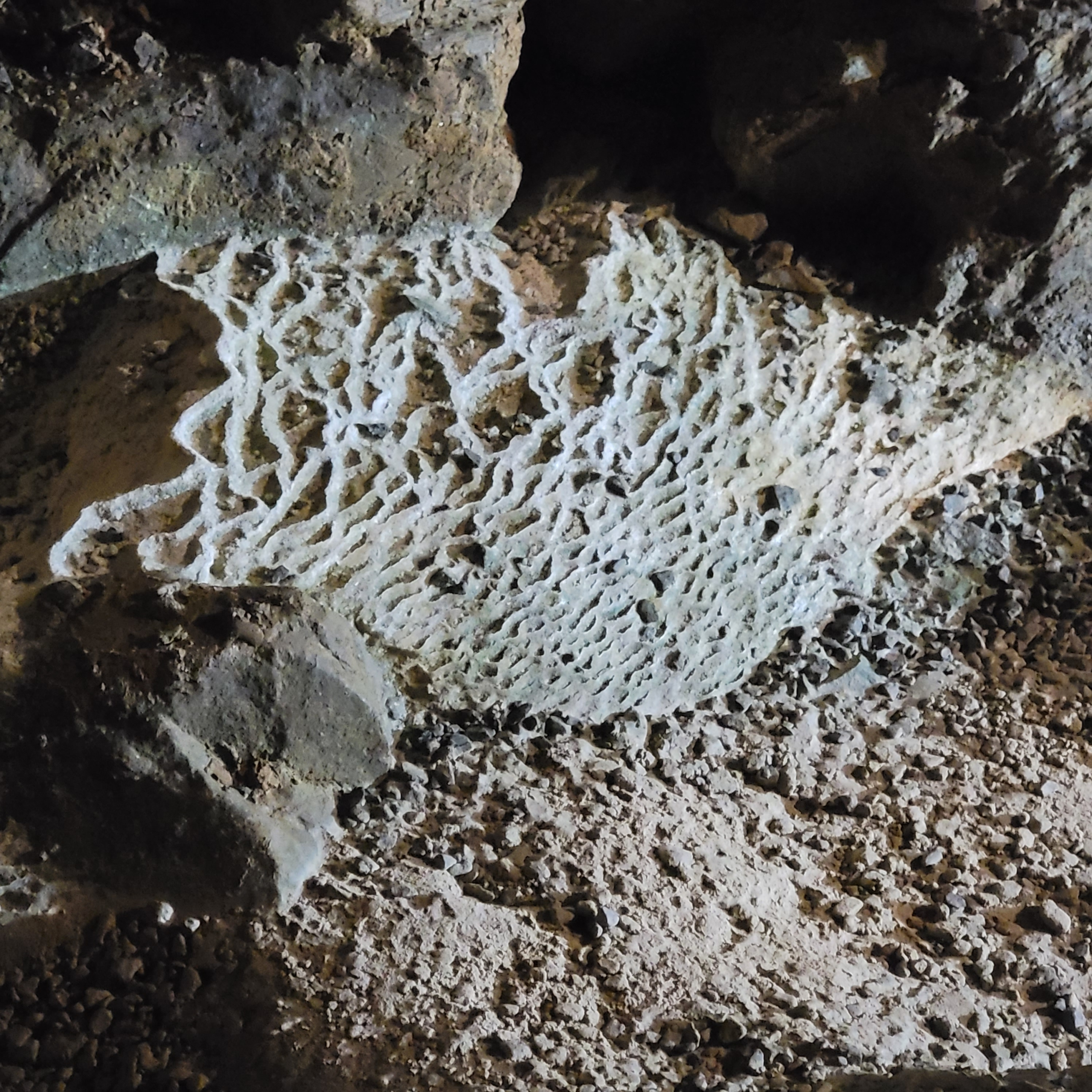 Wild West Virginia blog post