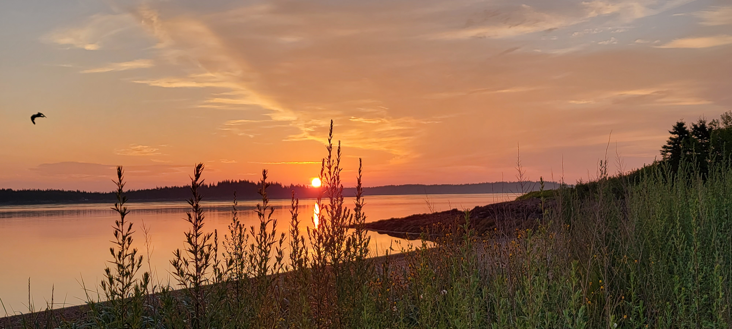 Magical Maine blog post